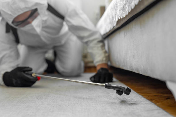 Professional Pest Control technician working in Rising Sun, MD